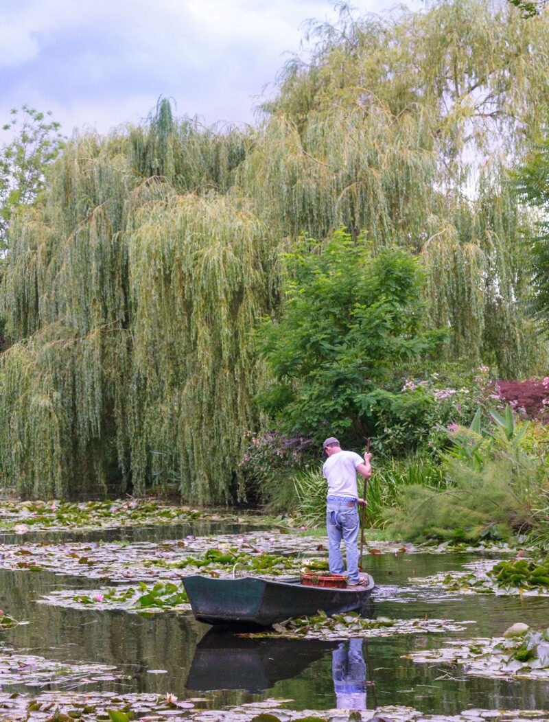 A man on a canoe in a beautiful garden pond at Giverny in Normandy.
