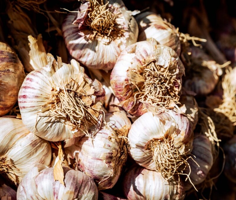 A bunch of garlic at a market stall.