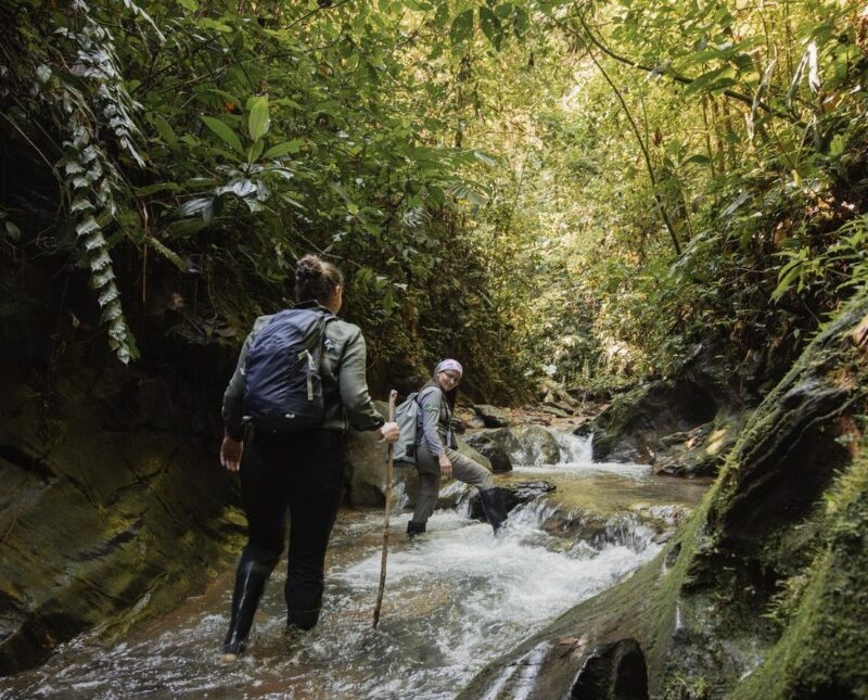 Two people on a jungle hike in Ecuador.