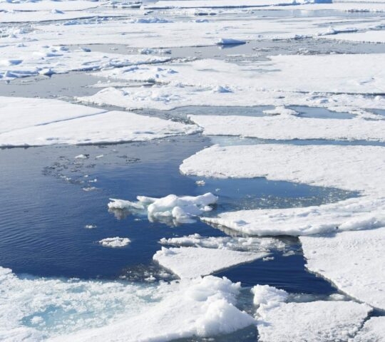 A close up of pack ice.