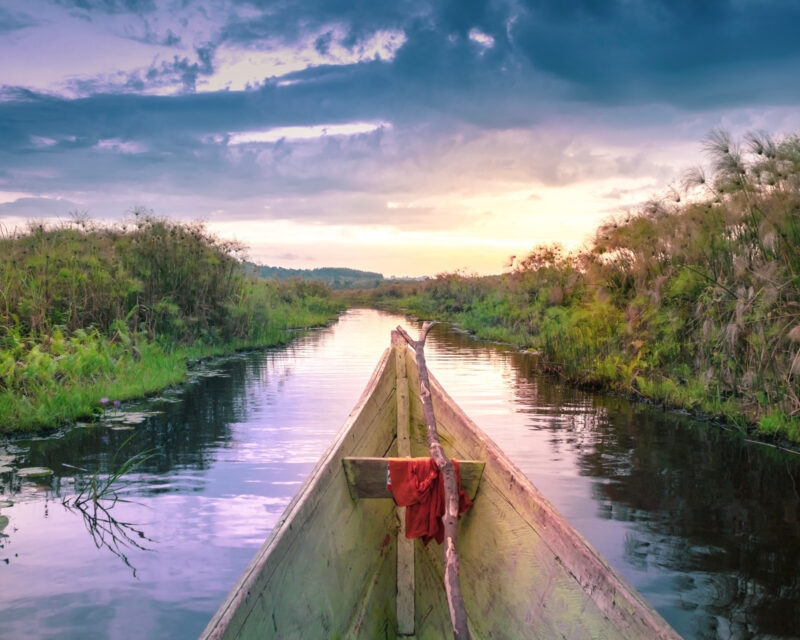 Sunset view of Mabamba Swamp family trip Uganda