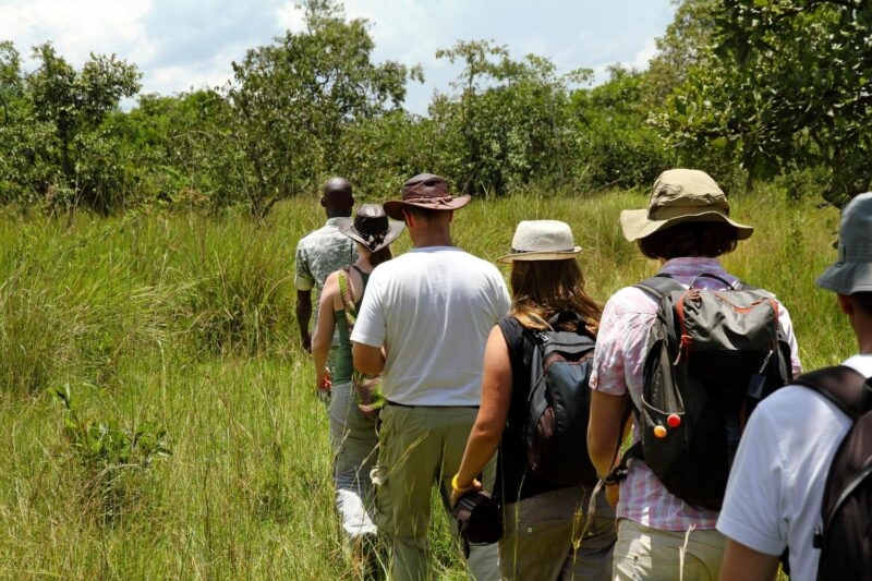 A group of tourists walk single file following a local guide on safari in Ziwa Rhino Sanctuary, Uganda.
