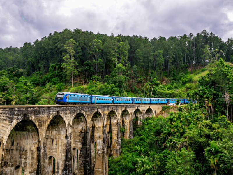 The iconic blue train journey through the lush tea plantations of the Sri Lankan Highlands, offering exclusive views of the rolling hills between Kandy and Ella.