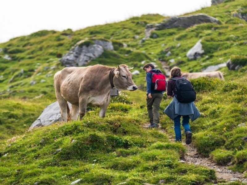 Hiking Switzerland wellness tour