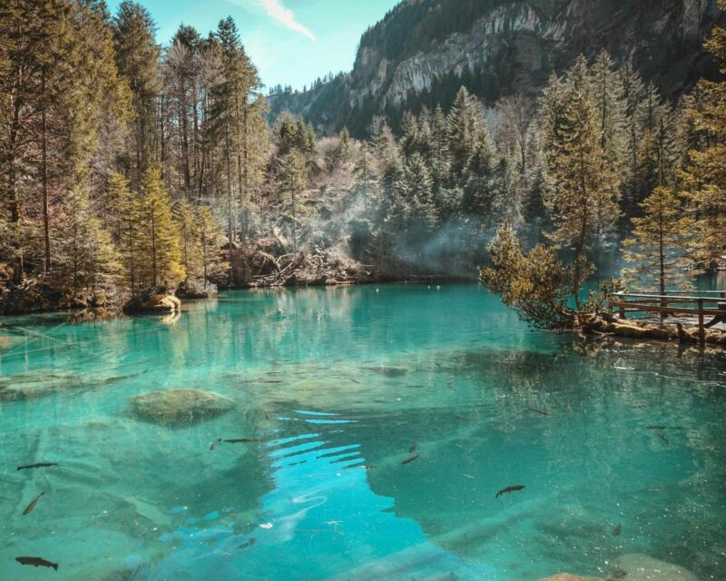 Switzerland wellness tour