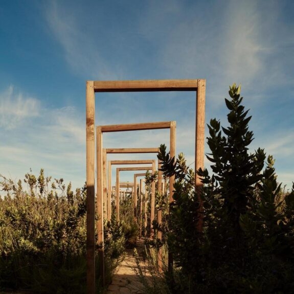 The Best Wellness Retreats in Mexico thumbnail