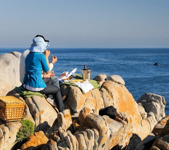 A couple having a picnic on the rocks along the coast, gazing out to a whale swimming in the distance.