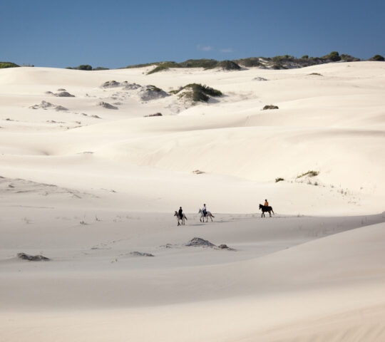 A group of people exploring sand dunes on horseback in the Grootbos Private Reserve in South Africa.