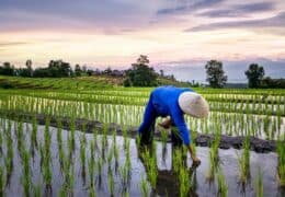 The Ultimate Luxury Adventure in Thailand