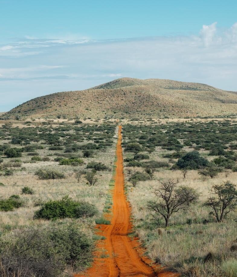 A rust-red track at Tswalu Kalahri and a leopard in Sabi Sands Private Game Reserve, South Africa.