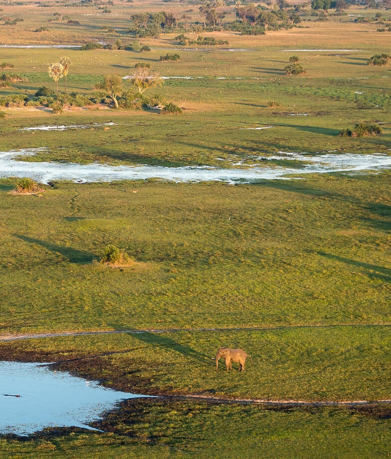 Elephants gathering on the Chobe River in Botswana’s Linyanti region, and an aerial view over the Mombo Concession in the Okavango Delta.