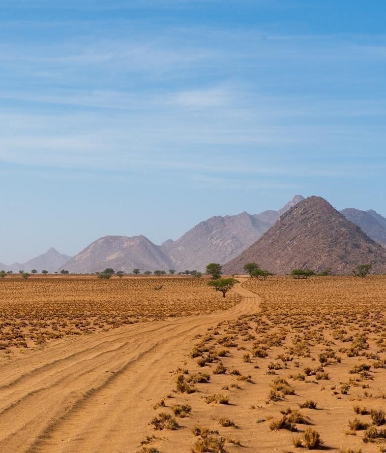 Guided bush walk in the Mara conservancies with local Maasai, and Marienfluss Valley’s desert track and mountain backdrops in Namibia’s Marienfluss conservancies.