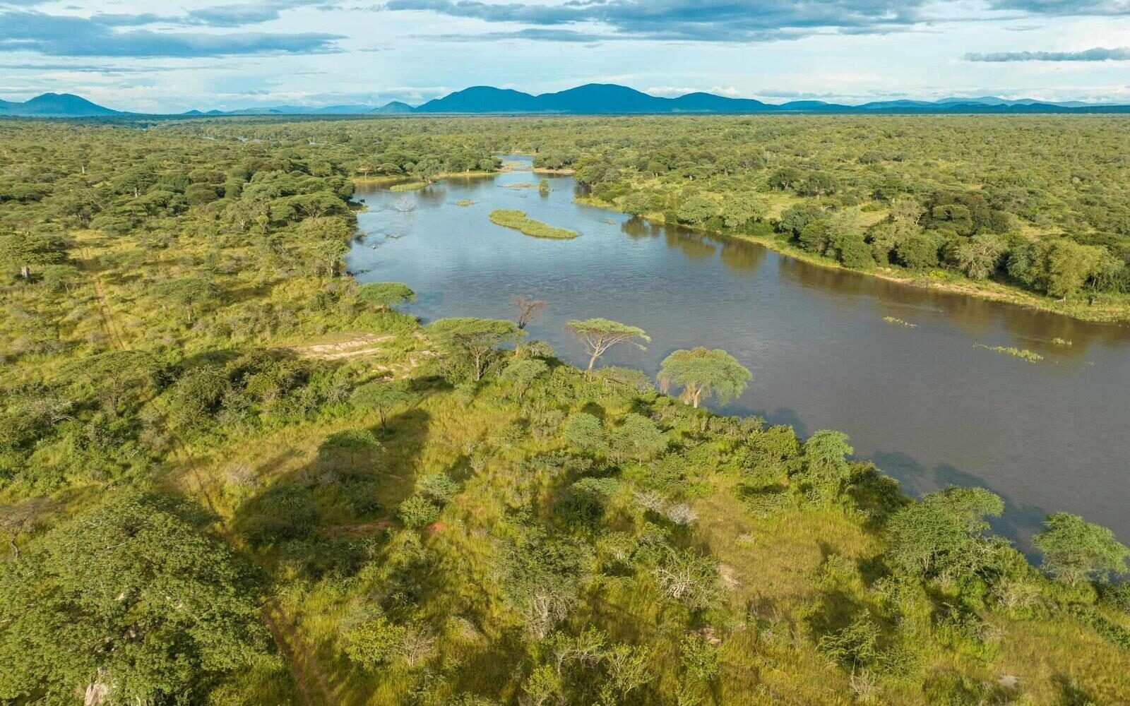 The Rufiji River winding through the lush wilderness of Nyerere National Park.