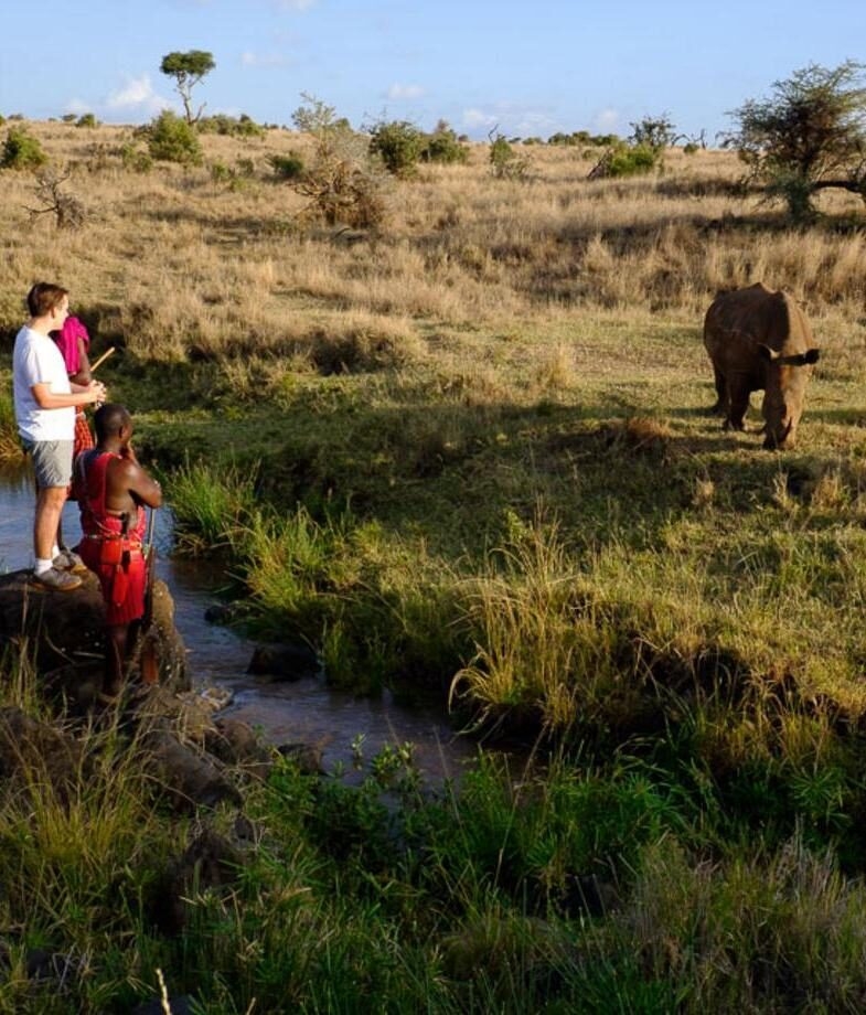 Spot rhinos on foot at Lewa Wilderness and enjoy drinks and snacks at Solio Lodge during sunset.