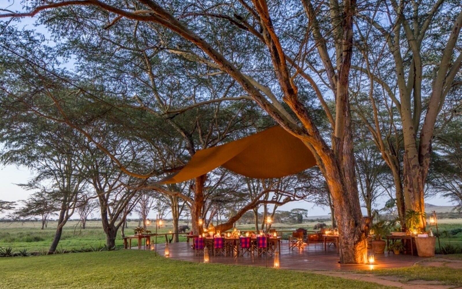 Dine outdoors at Sirikoi in Kenya with lantern-lit tables set beneath acacia trees as the savannah stretches out around you.
