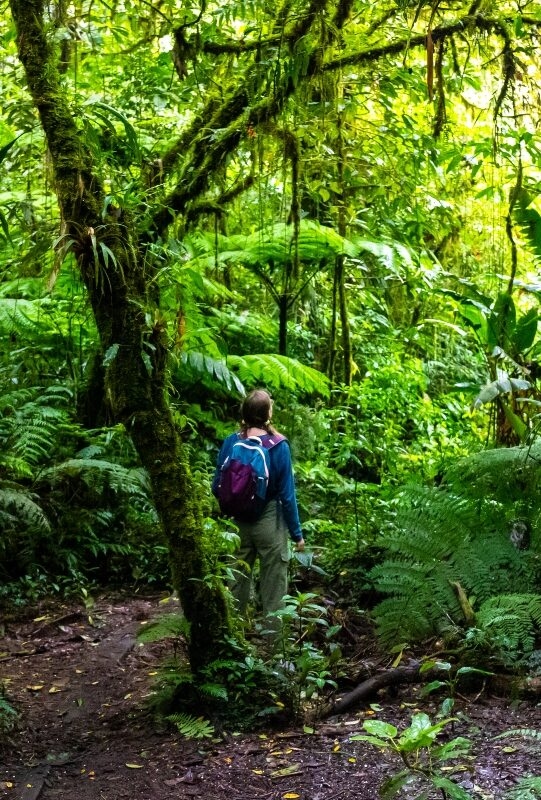 Girl hiker looks in awe at the verdant landscape of Costa Rica's Central Cloud Forests.