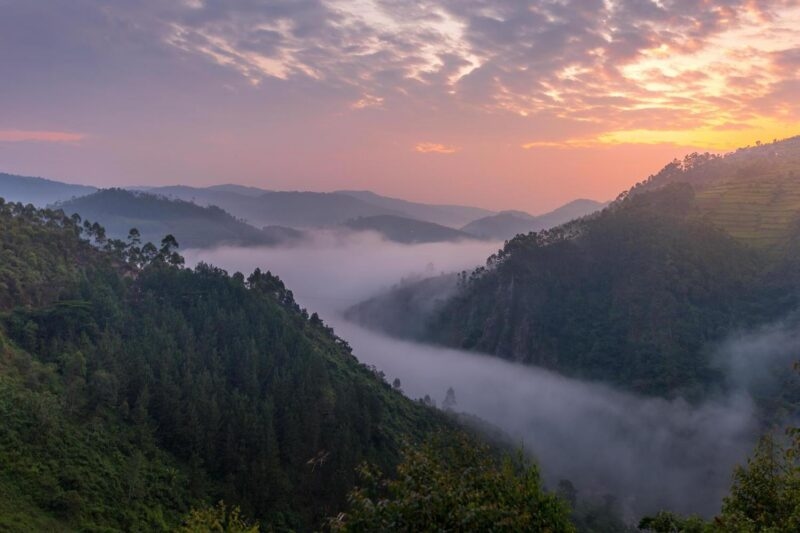 Morning mist settles in a deep mountain valley during a colorful sunrise over the Bwindi Impenetrable Forest.