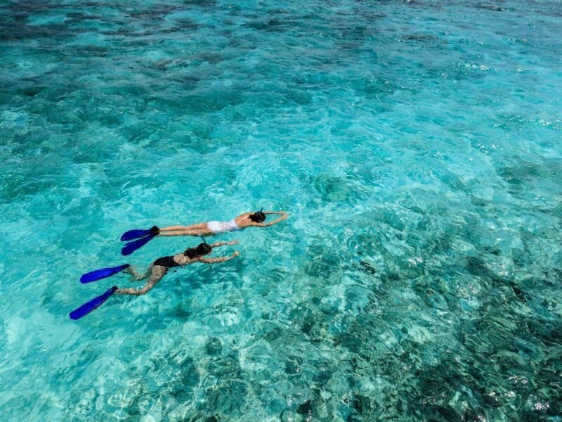 Overhead view of two people snorkeling in clear blue ocean water over a coral reef in Mozambique.