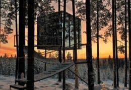 Treehotel