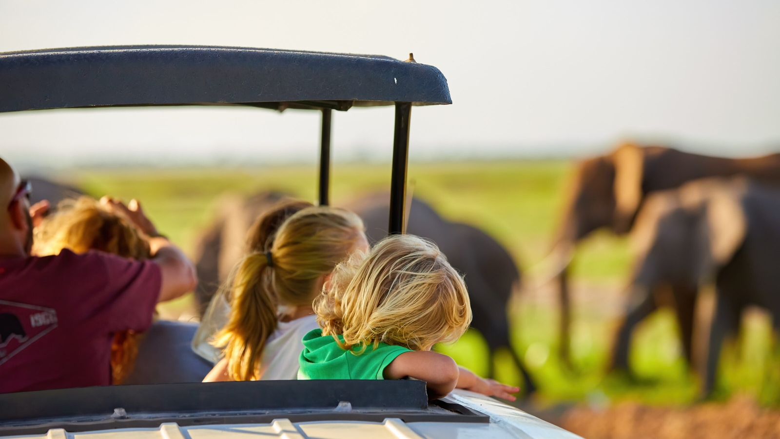 View of a family with children watching an elephant in the distance from a safari vehicle