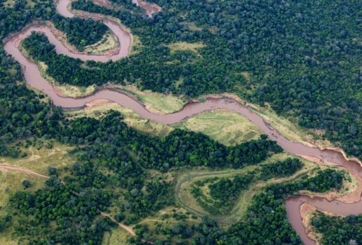 A wildebeest mother and calf stand side by side, a wildebeest herd moves across the grassland and the Mara River snakes through Kenya.
