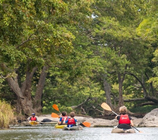 Several kayakers with orange paddles navigating a river surrounded by lush jungle foliage and large rocks.