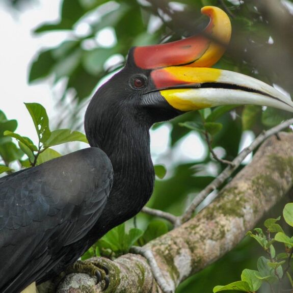 Guide to Safari Shoulder Seasons thumbnail