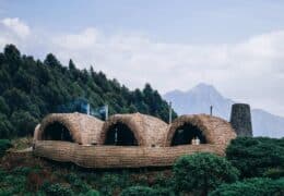 Wilderness Bisate Reserve