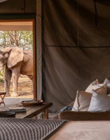 Wilderness Ruckomechi Camp