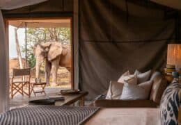 Wilderness Ruckomechi Camp