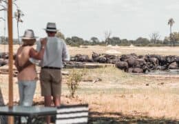 Wilderness Linkwasha Camp