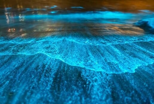 Latin America's biodiversity includes a vibrant range of colours, seen on snakes, frogs and even bioluminescence