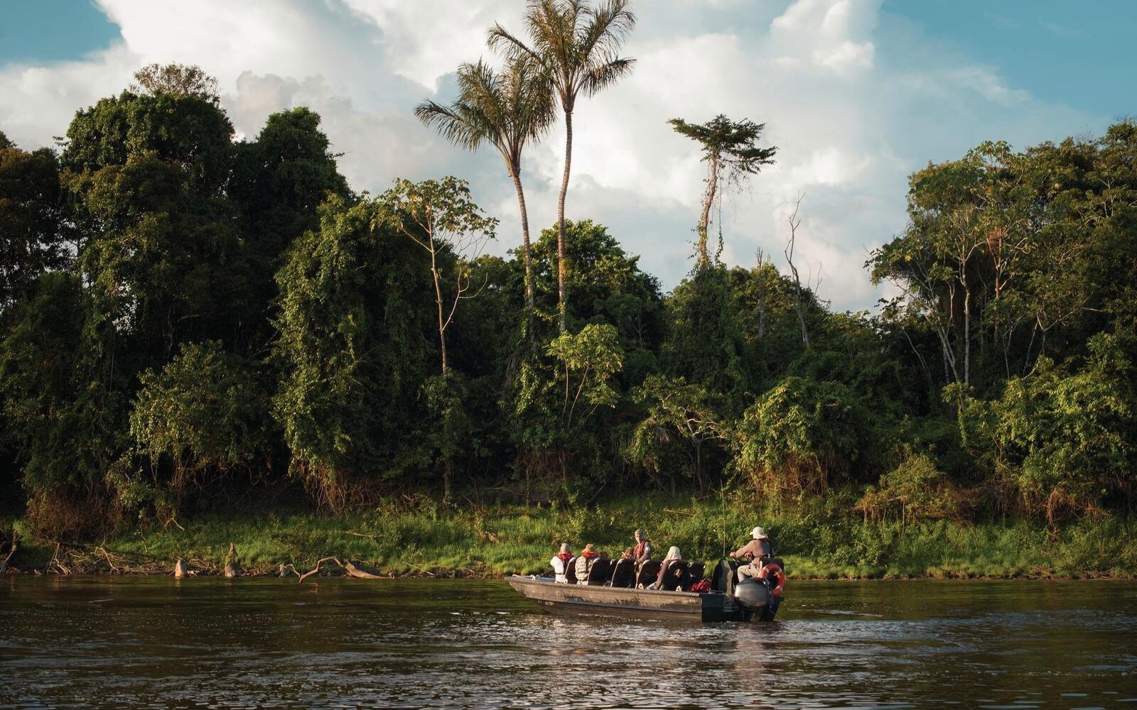 Cruise down the Amazon river on a boat safari