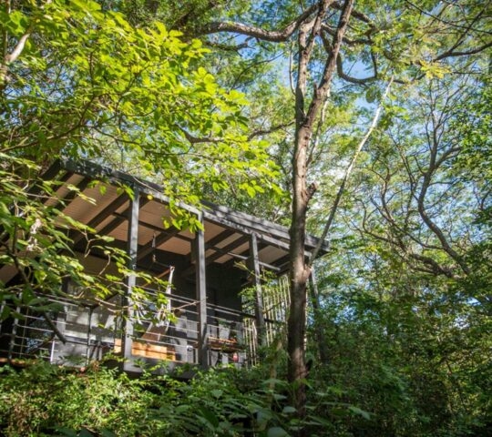 A wooden bungalow surrounded by trees in the rainforest in Costa Rica