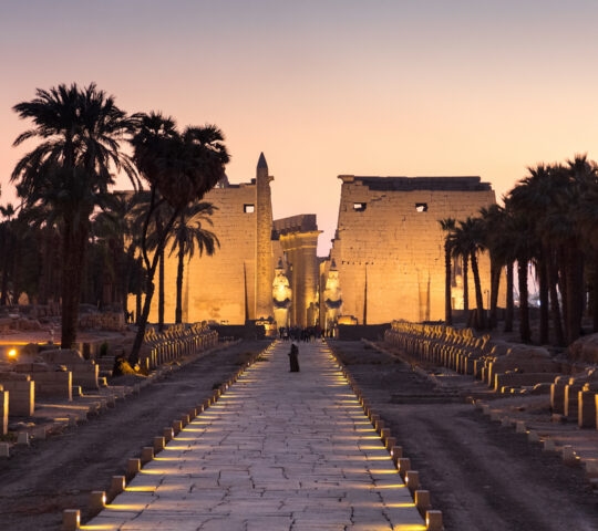 A long stone path flanked by sphinxes and palm trees leading to a lit temple pylon during sunset.