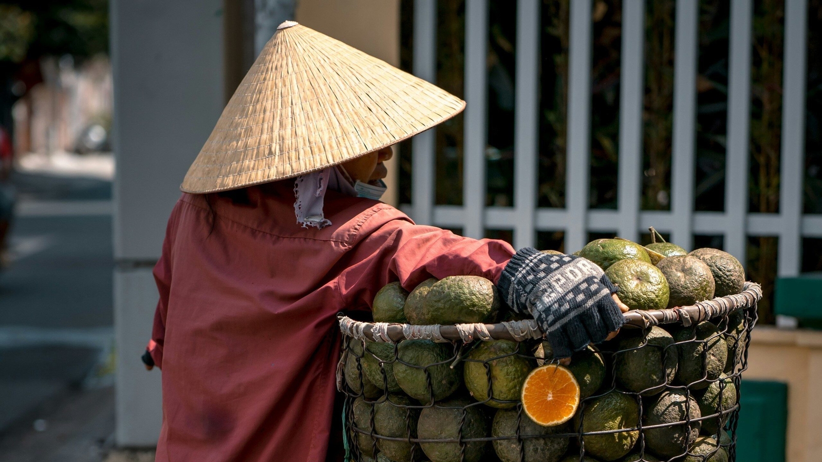 A vendor in a conical hat and red shirt with a bicycle carrying a massive basket of green oranges.
