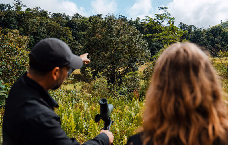 Male guide holding a monoscope pointing at a tree for a female guest to look at in Costa Rica.