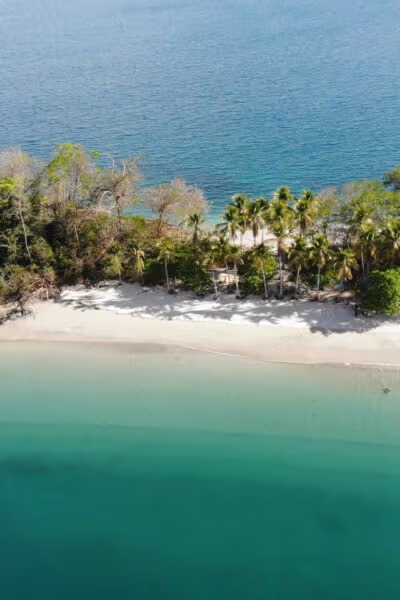 The Wonderful Wildlife of Costa Rica and Panama