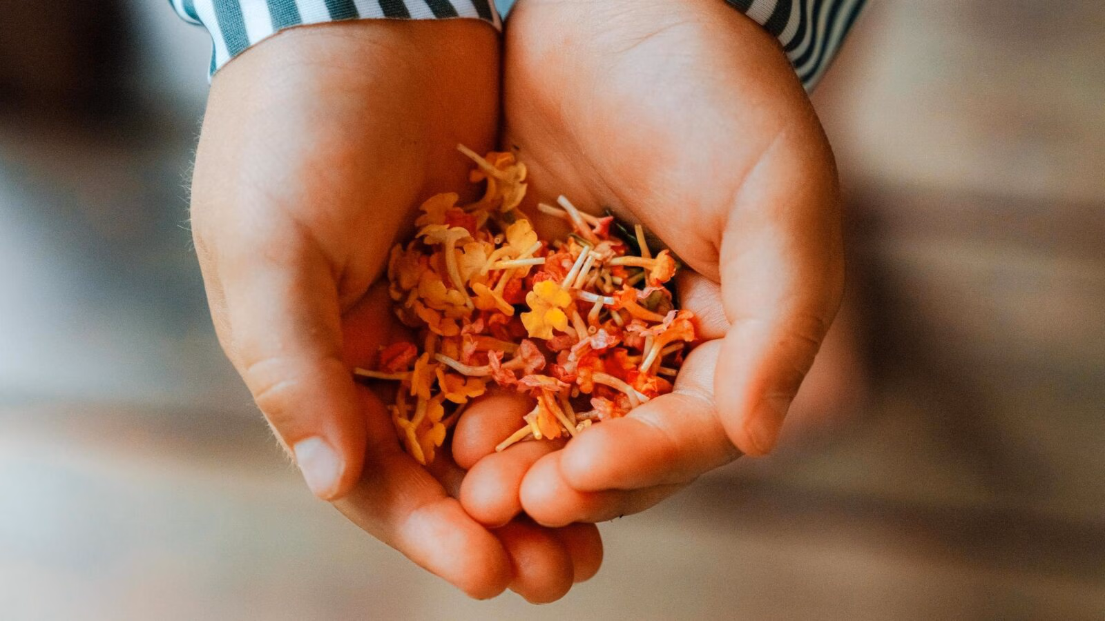 A child holds out their hands filled with freshly picked flowers in Thailand.