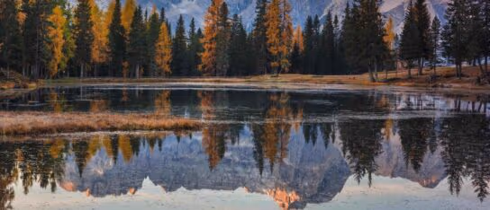 Golden autumn trees and dramatic mountain peaks reflect symmetrically in a calm, clear alpine lake.