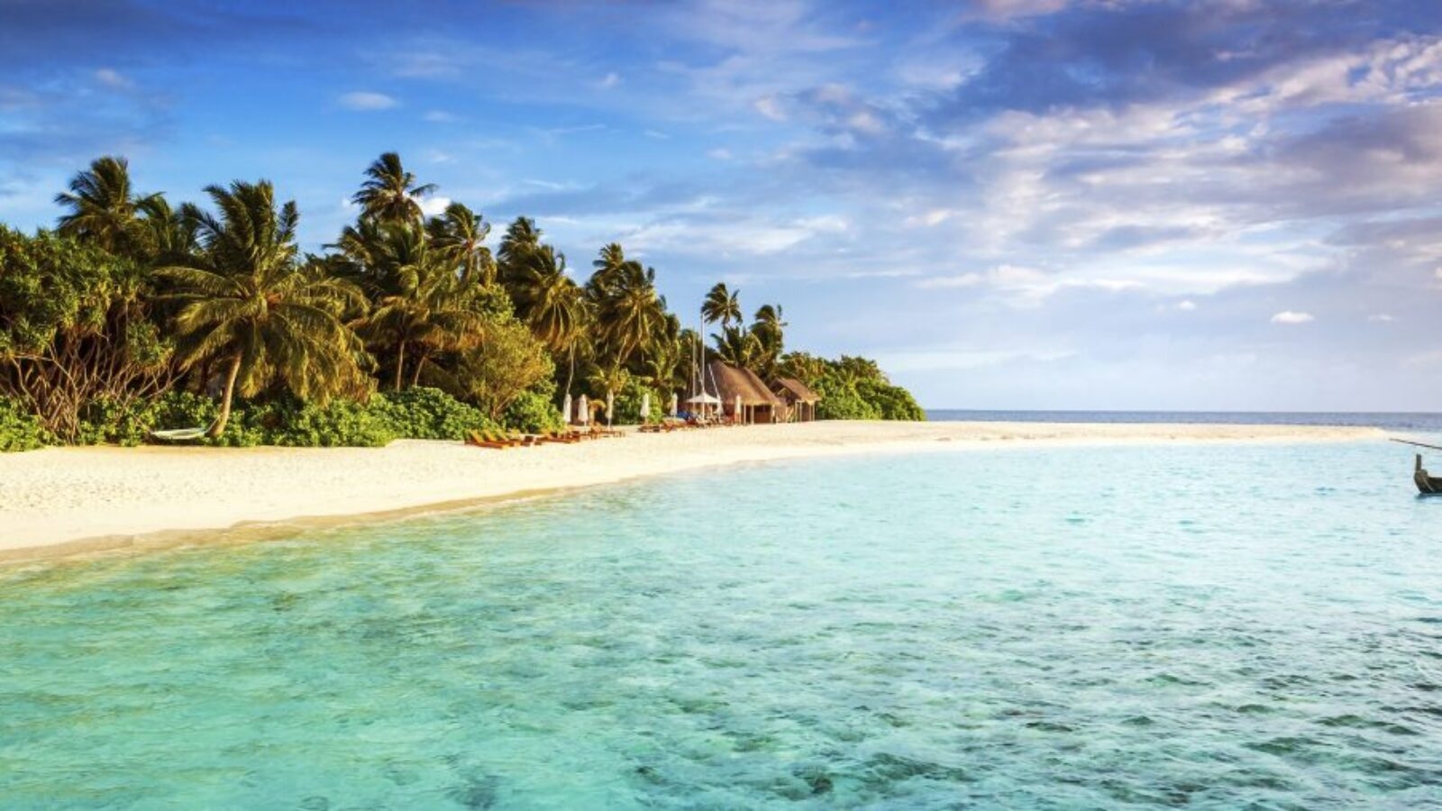 A beautiful golden sand beach with trees by shallow clear water
