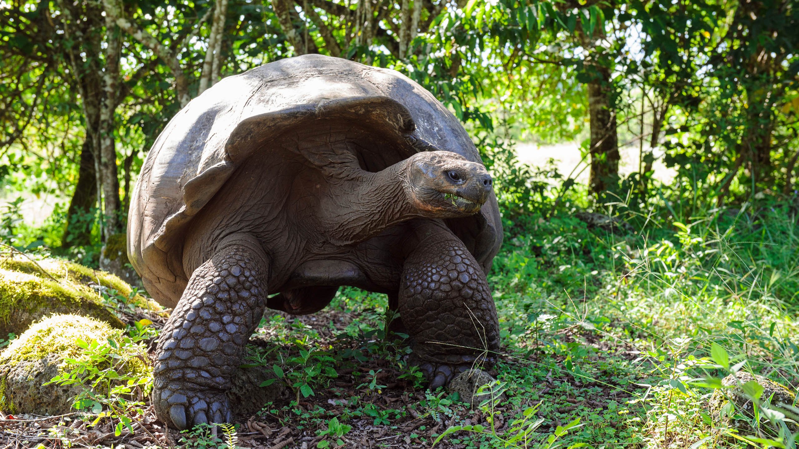 An Unforgettable Galápagos Family Adventure | Jacada Travel