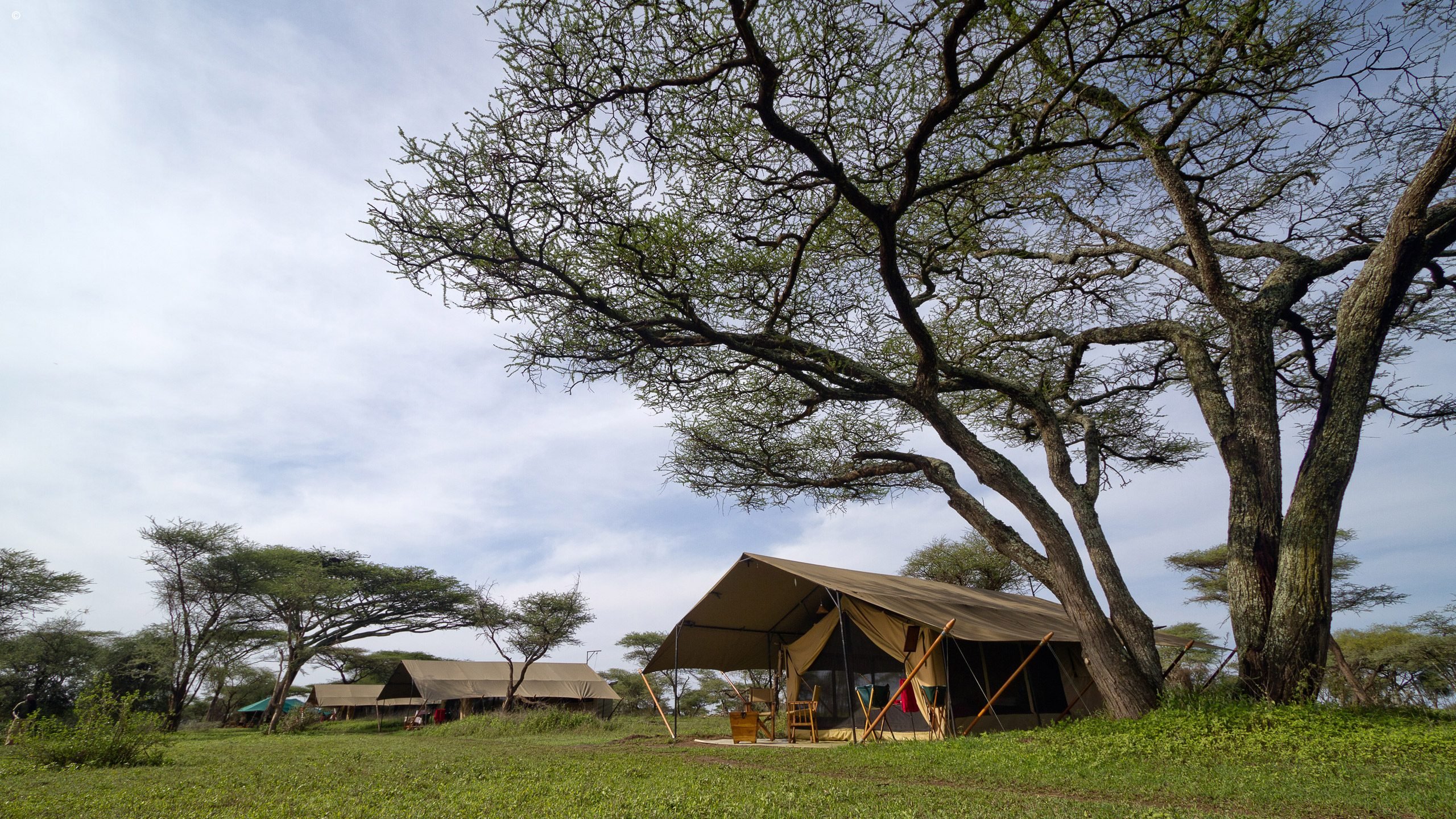 Nasikia Luxury Mobile Camp | Luxury Camp Serengeti Park