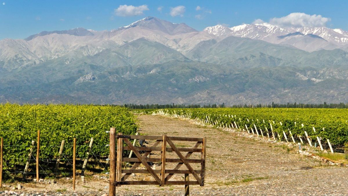 Ultimate Argentina Wine Tour Jacada Travel   Example Trip  IStock 000020028195Large 0 1200x678 