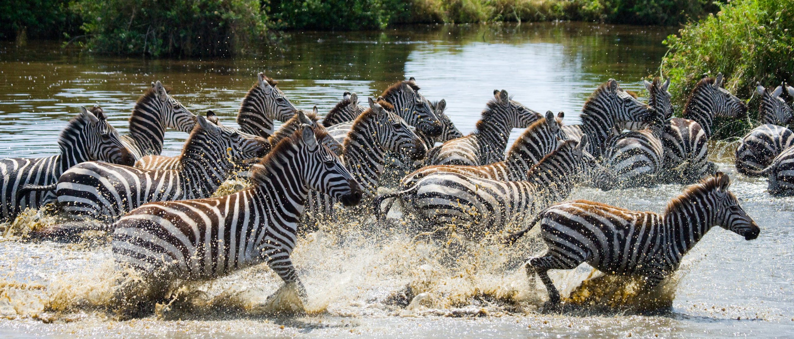 The Best 17 Things to do in Tanzania | Jacada Travel