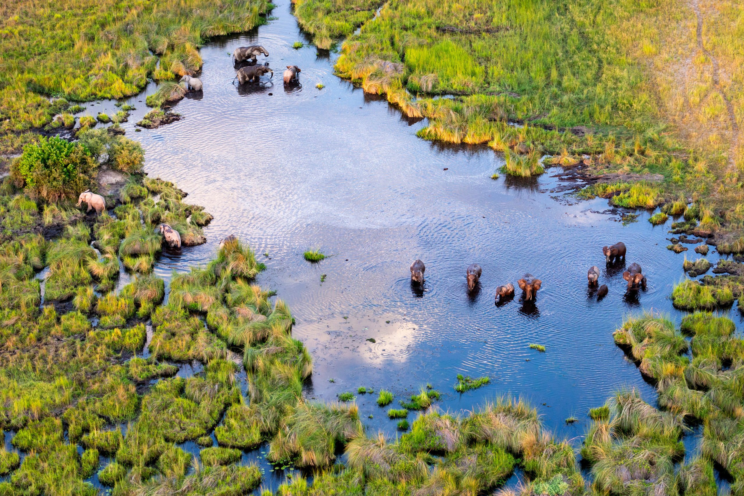 Botswana: What makes the world's most expensive safaris so special