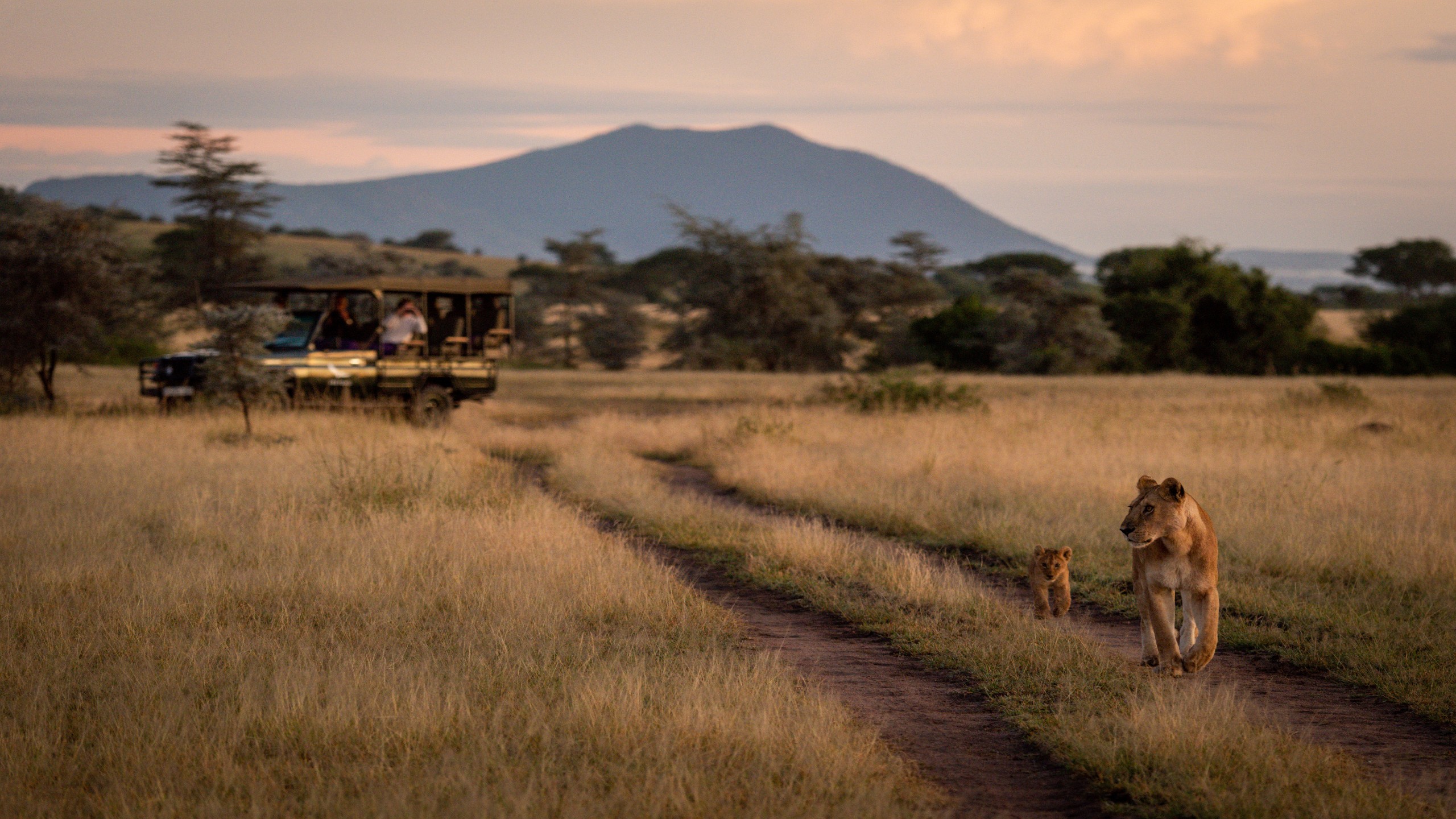 Our Guide To Big Five Safaris In Africa | Jacada Travel