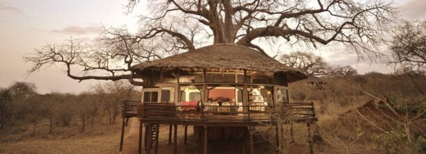 Tree house lit inside, Tarangire Treetops, Tarangire National Park, Tanzania