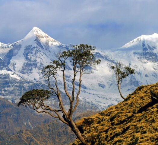 Kumaon Region Indian Himalayas