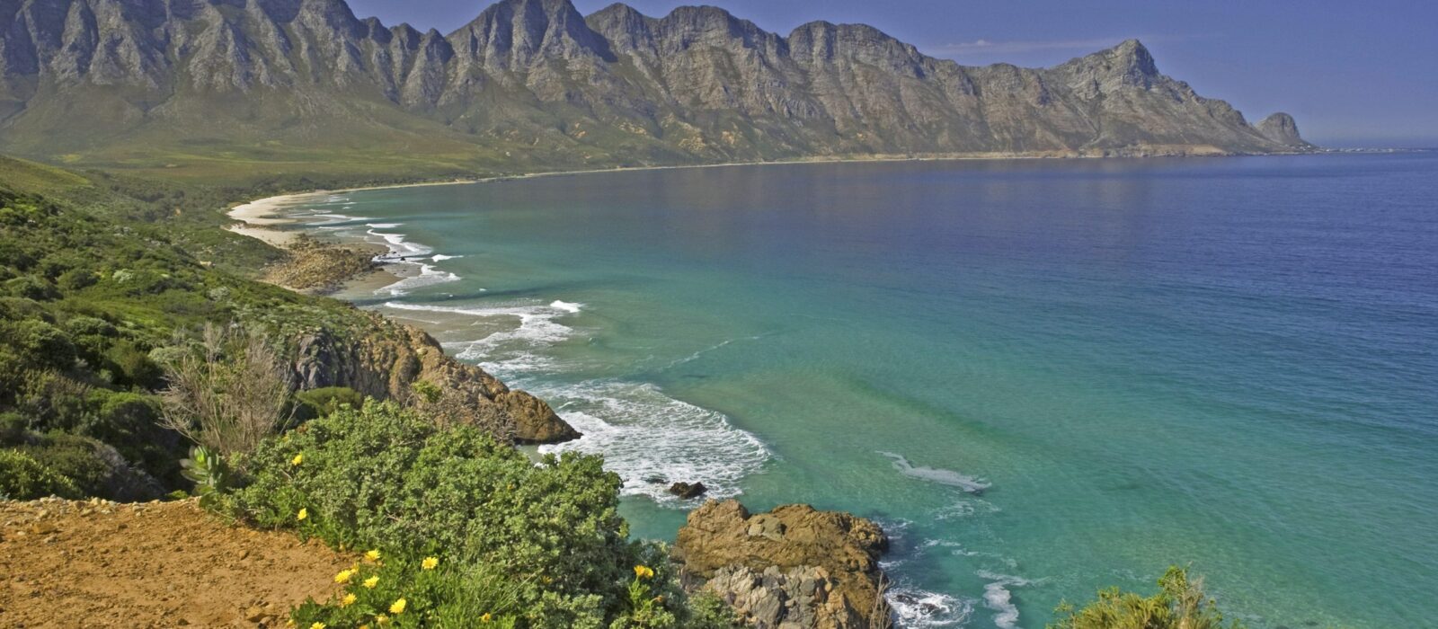 Panoramic view of the verdant cliffs of the Whale Coast, South Africa, dropping into the calm ocean